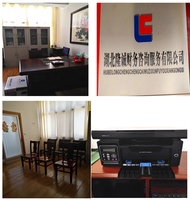 湖北隆誠財務咨詢服務 專業賦能，助力企業穩健發展